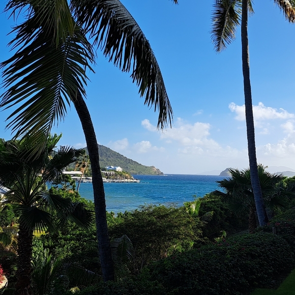 Meet your Posher, D - Picture 1 of 1